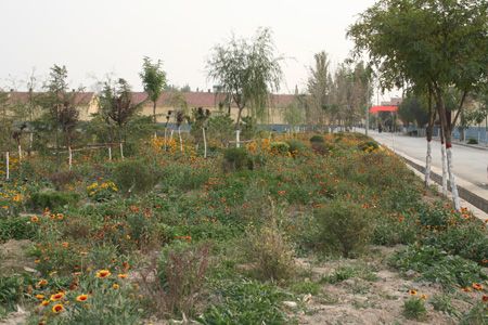 整治后